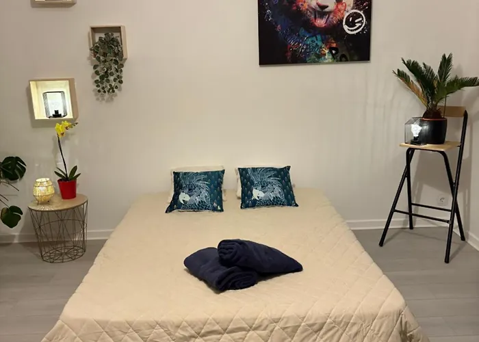 Cocooning * Кольмар